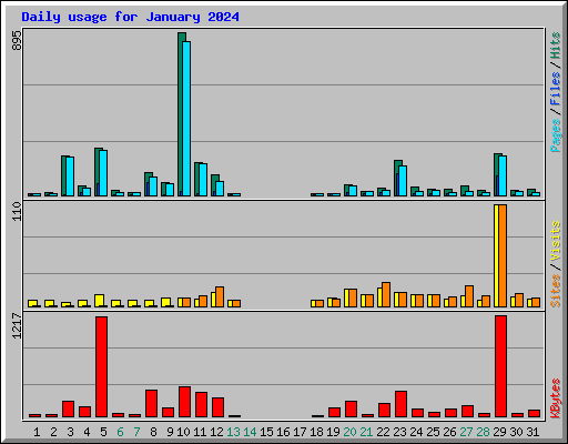 Daily usage for January 2024