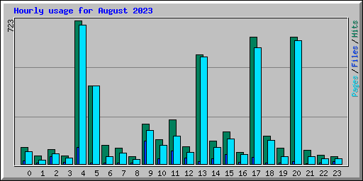Hourly usage for August 2023