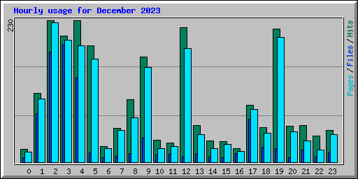 Hourly usage for December 2023