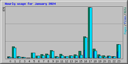 Hourly usage for January 2024