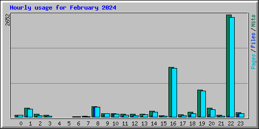 Hourly usage for February 2024