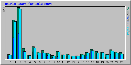 Hourly usage for July 2024