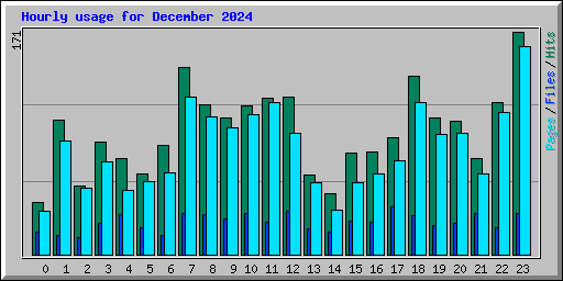 Hourly usage for December 2024