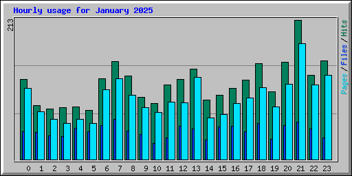 Hourly usage for January 2025