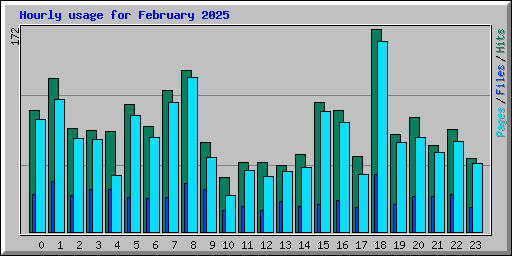 Hourly usage for February 2025
