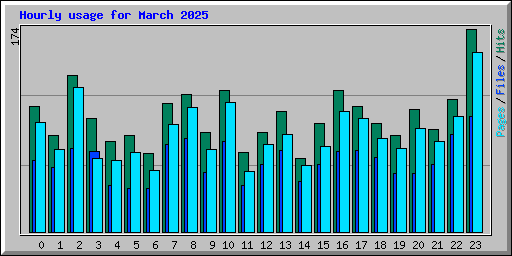 Hourly usage for March 2025