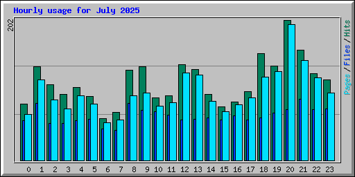 Hourly usage for July 2025