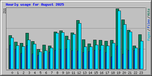 Hourly usage for August 2025